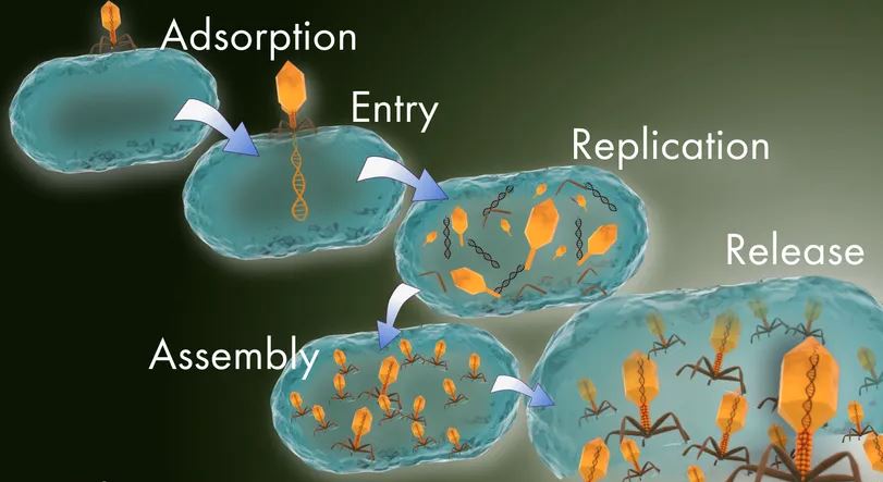Virus-host Biology